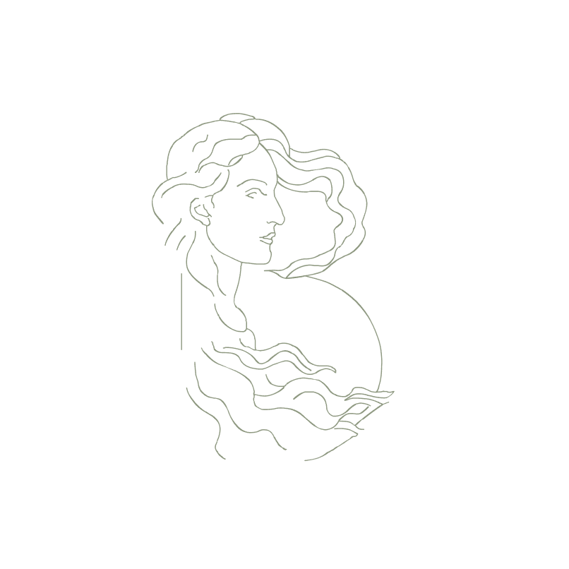 The contour for B: the head, shoulder and fall of hair reduced to one hairline.
