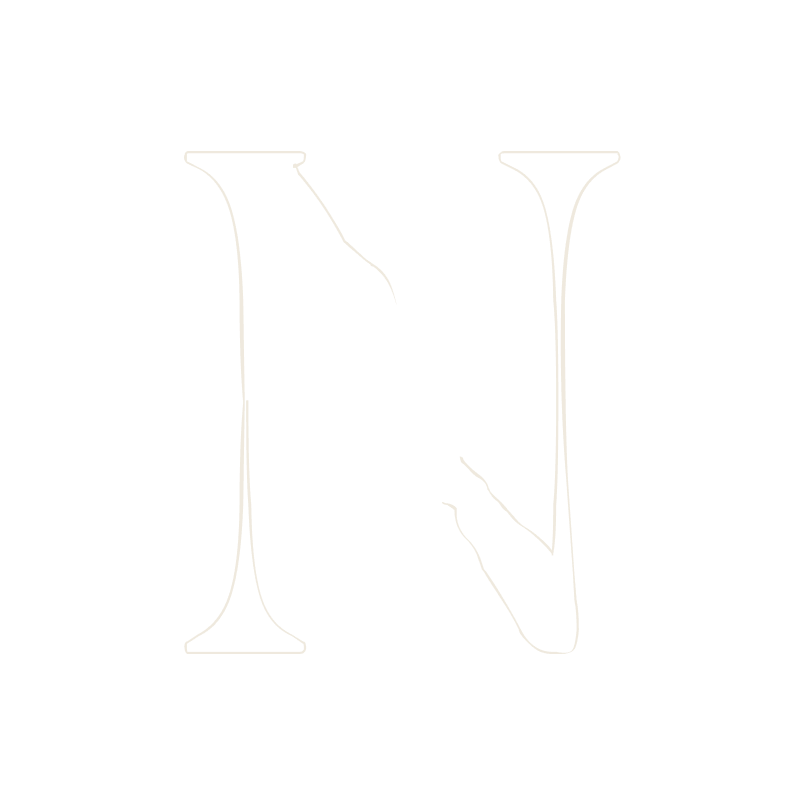 The skeleton for N: the bare letter, two stems and a diagonal, with nothing of the painting in it.