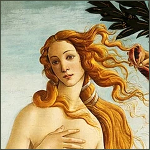 Botticelli's Birth of Venus, cropped to the head: Venus turned in three-quarter view with the long hair blown across her shoulder.