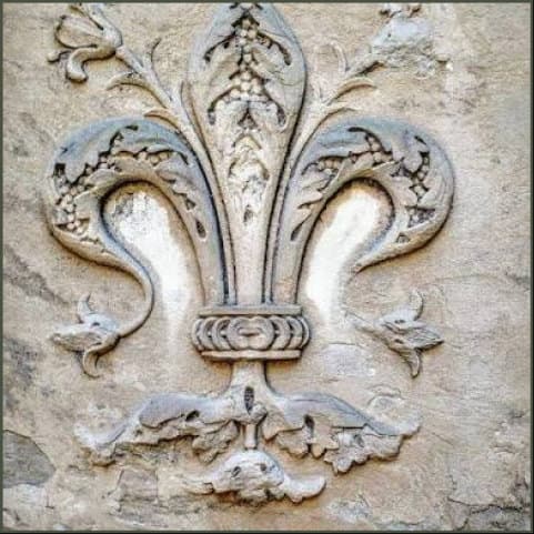 A carved stone relief of the Florentine lily, the petals curling out of an acanthus base.