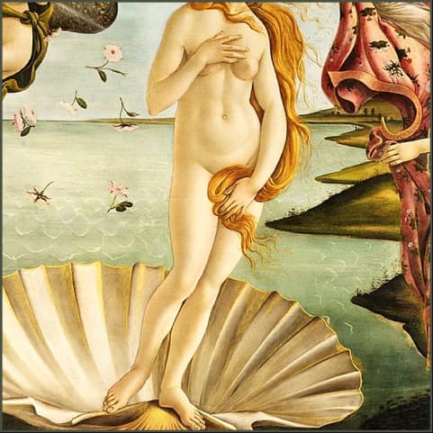 Botticelli's Venus at full length, standing on the shell with her weight on one leg.