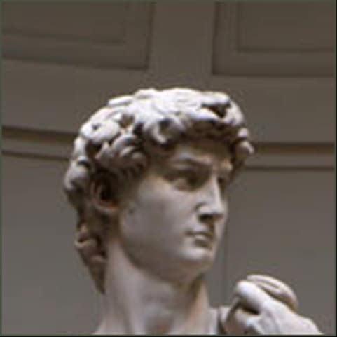 Michelangelo's David, cropped to the head and shoulders seen from the side.