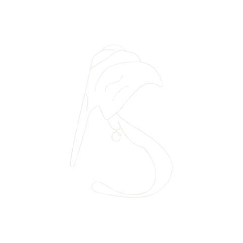 The finished S: the cloth of the turban takes both curves of the letter and the pearl marks the lower terminal.